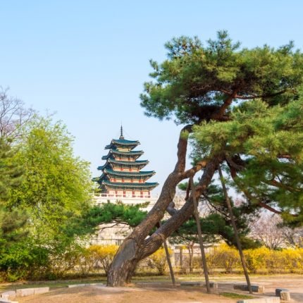 Gyeongbokgung-palast-in-seoul-korea - 2 Wochen Südkorea Rundreise